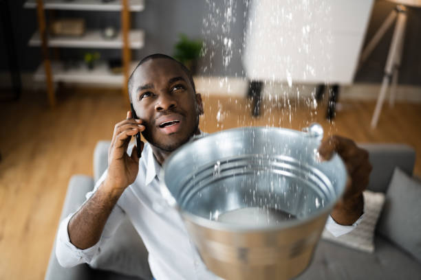 Best Water damage mitigation services  in Evanston, WY