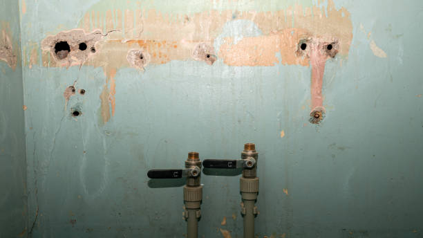 Water damage restoration mold remediation in WY