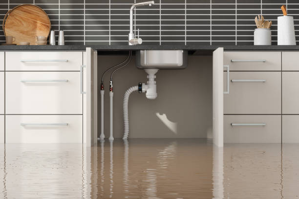 Best Water damage mitigation services  in Evanston, WY